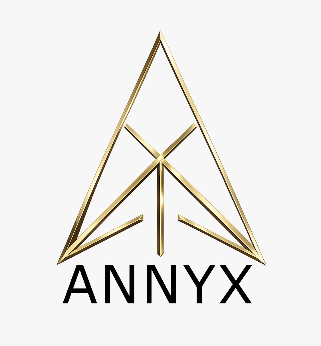 ANNYX logo